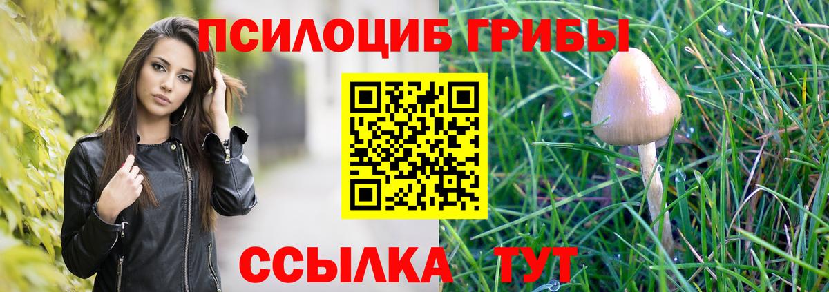 Галлюциногенные грибы ЛСД  Галлюциногенные грибы Magic Shrooms  Вход с VPN  Чапаевск 